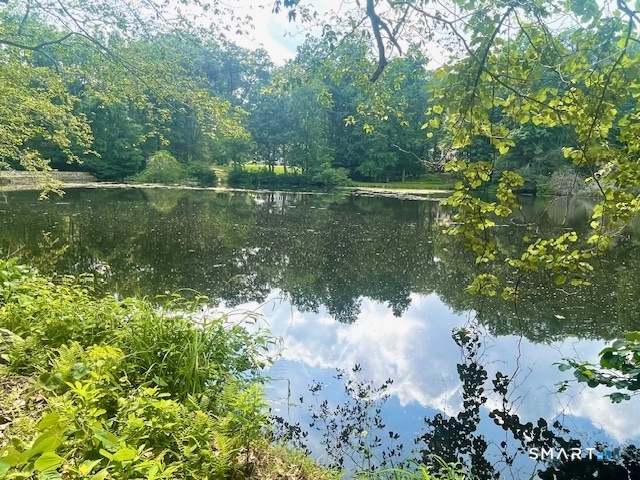 159 Easton Road Westport, CT 06880 - Photo 39 of 40 Just imagine . . living on the banks of the Aspetuck River. . .