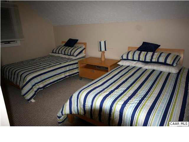 418 Three Ridges Roseland, VA 22967 - Photo 8 of 14 Master suite with two full beds