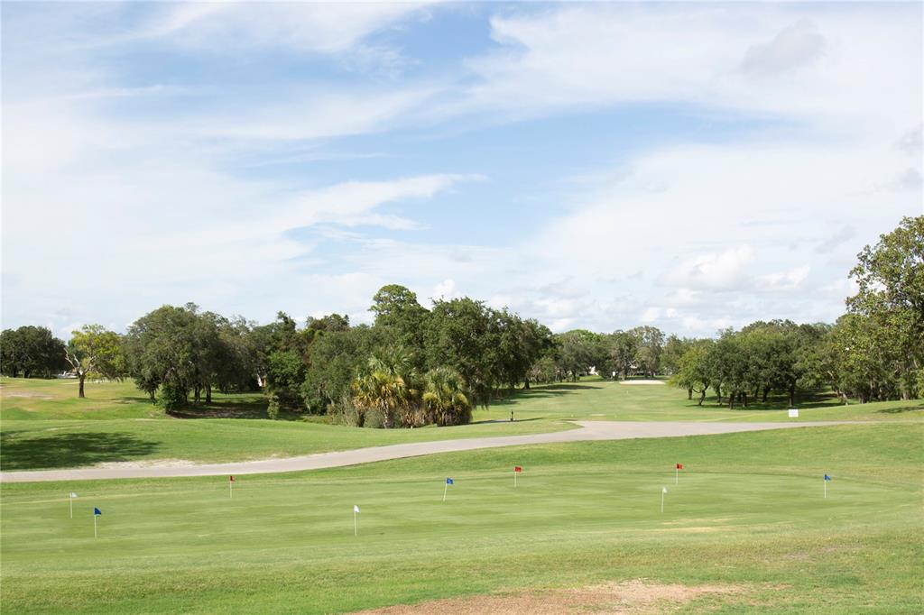 12707 Shell Point Drive Hudson, FL 34667 - Photo 55 of 56 Gallery Image 55