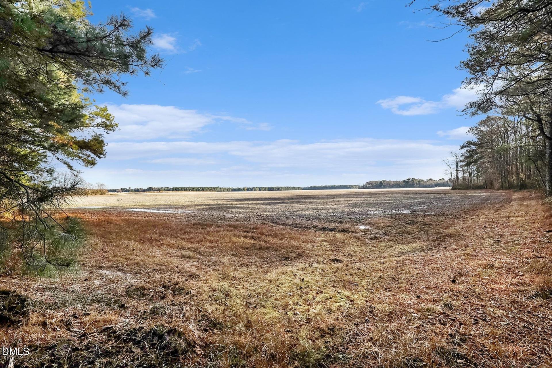 a view of an ocean and beach