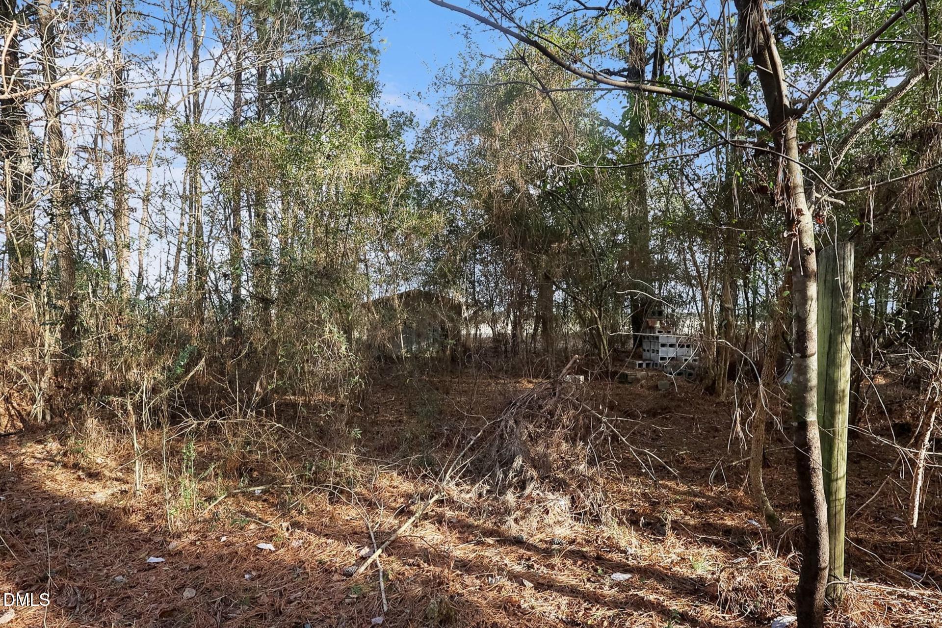 0 Fann School Road Salemburg, NC 28385 - Photo 3 of 7 a view of a forest with a tree