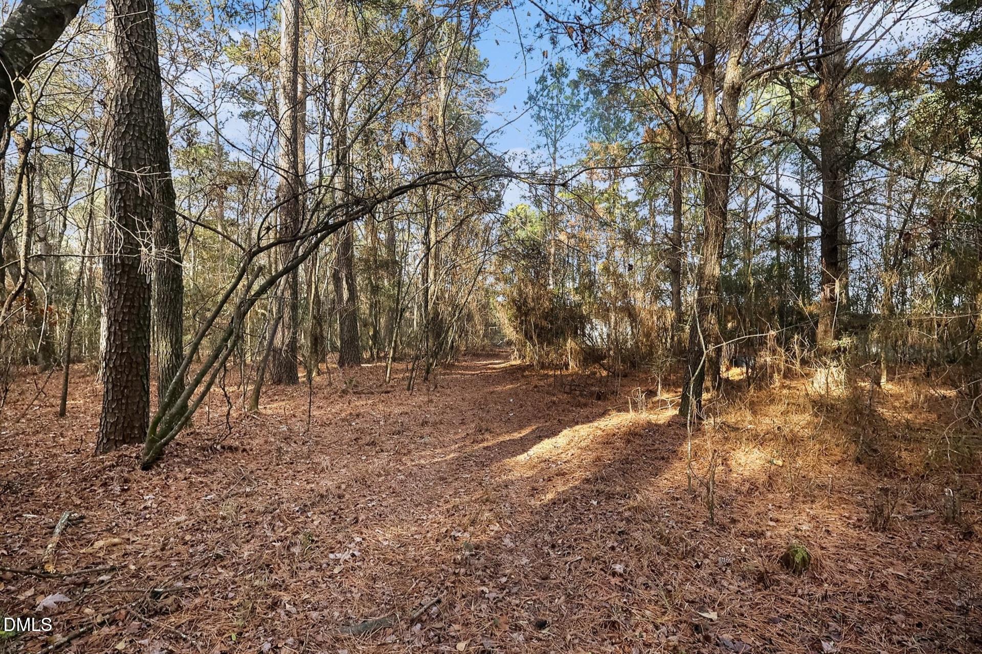 0 Fann School Road Salemburg, NC 28385 - Photo 4 of 7 a view of backyard of house