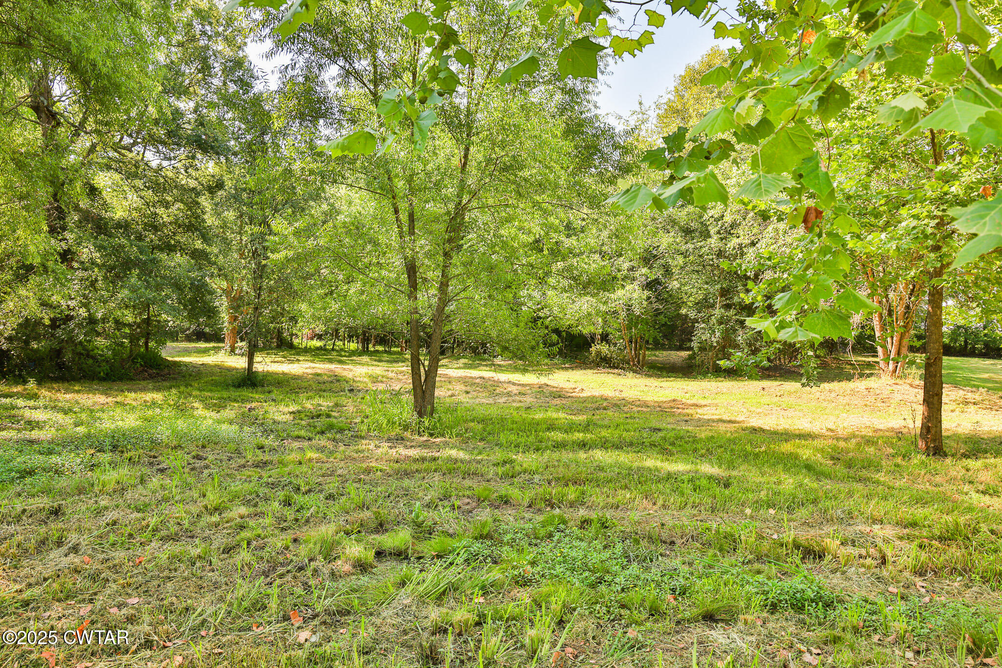 1968 Ralston Road Martin, TN 38237 - Photo 39 of 54 FT8A7696
