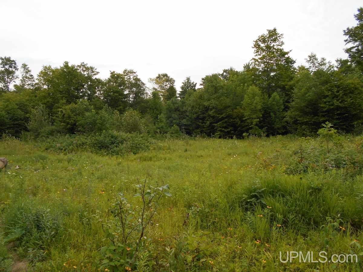 3886 Quarry Road Gulliver, MI 49840 - Photo 1 of 9 Gallery Image 1