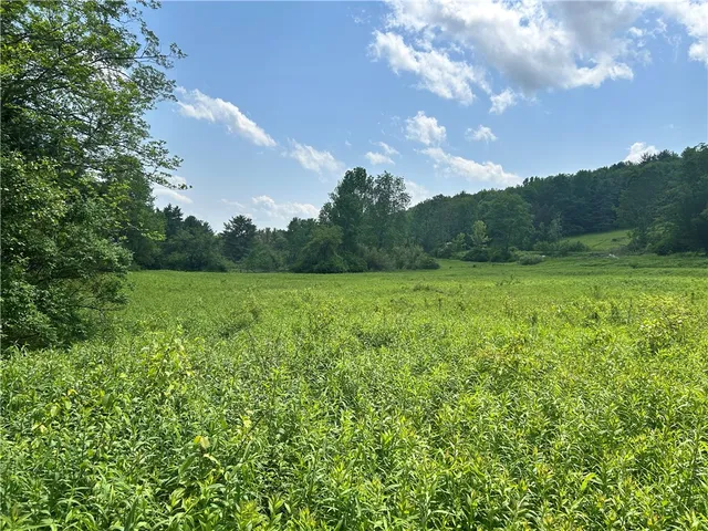 $39,900 | Lot 3 Oregon Road, Gilbertsville, NY 13776
