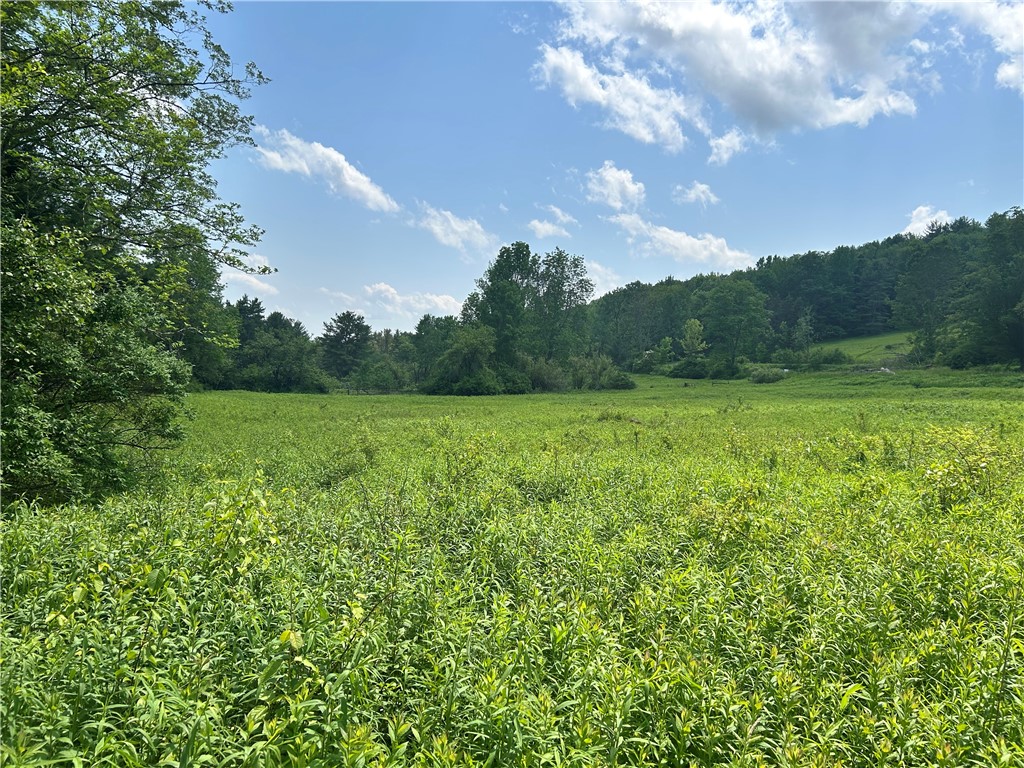Lot 3 Oregon Road Gilbertsville, NY 13776 - Photo 1 of 6