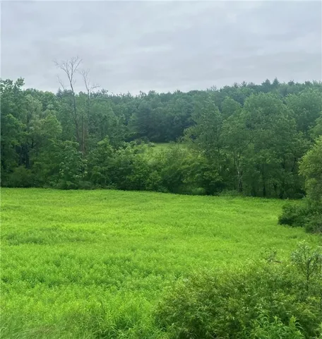 $39,900 | Lot 3 Oregon Road, Gilbertsville, NY 13776