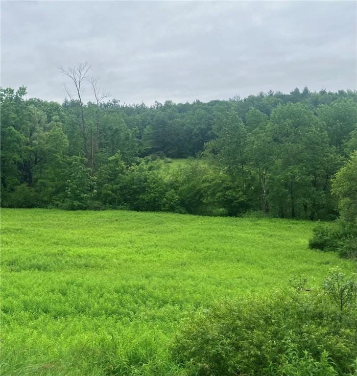 Lot 3 Oregon Road Gilbertsville, NY 13776 - Photo 3 of 6