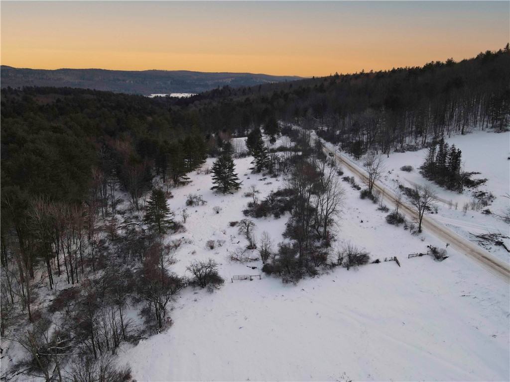 Lot 3 Oregon Road Gilbertsville, NY 13776 - Photo 4 of 6