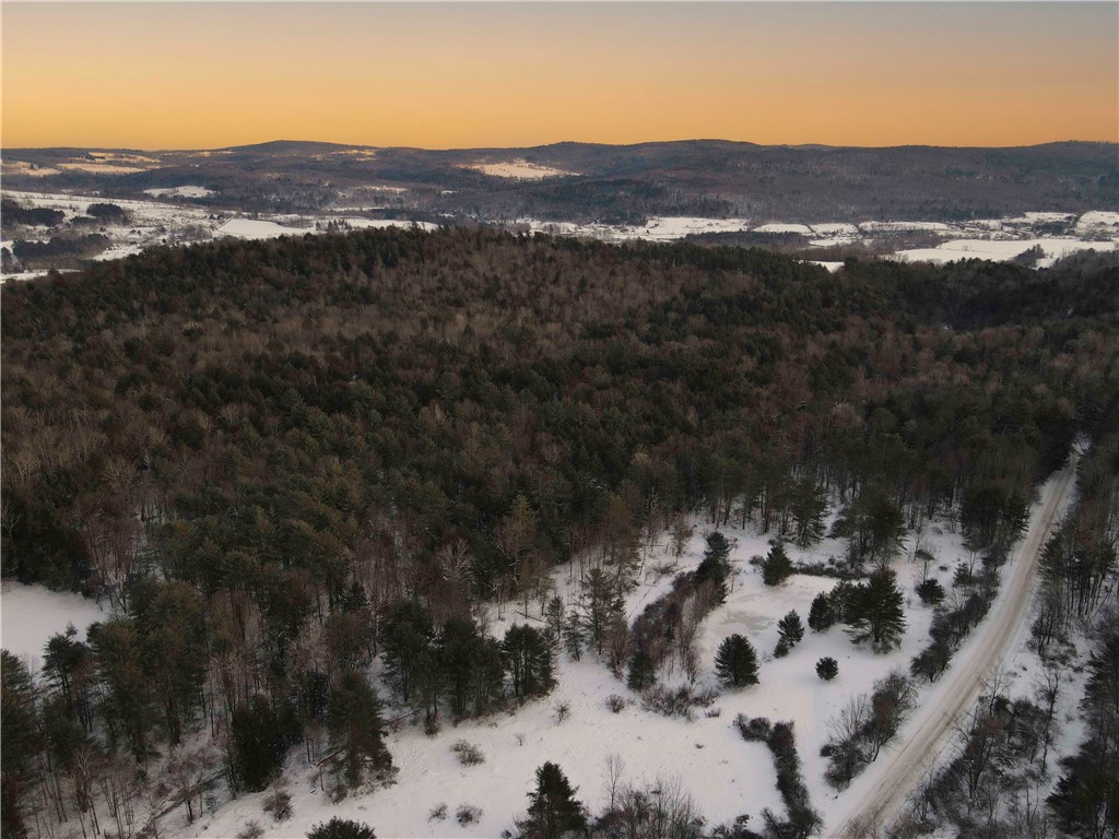 Lot 3 Oregon Road Gilbertsville, NY 13776 - Photo 5 of 6