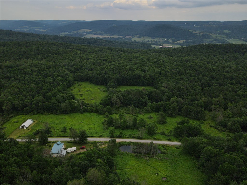 Lot 3 Oregon Road Gilbertsville, NY 13776 - Photo 6 of 6