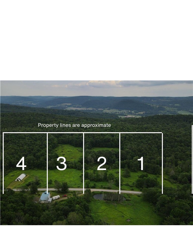 Lot 3 Oregon Road Gilbertsville, NY 13776 - Photo 6 of 6