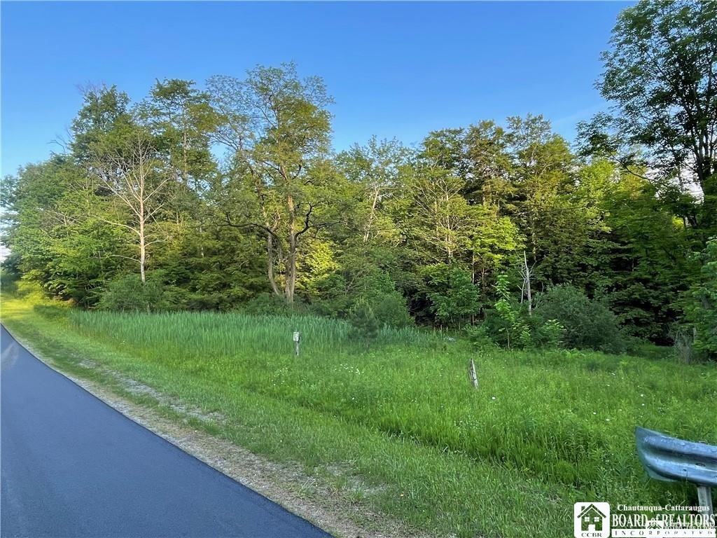 0 Luce Road Bemus Point, NY 14712 - Photo 6 of 39