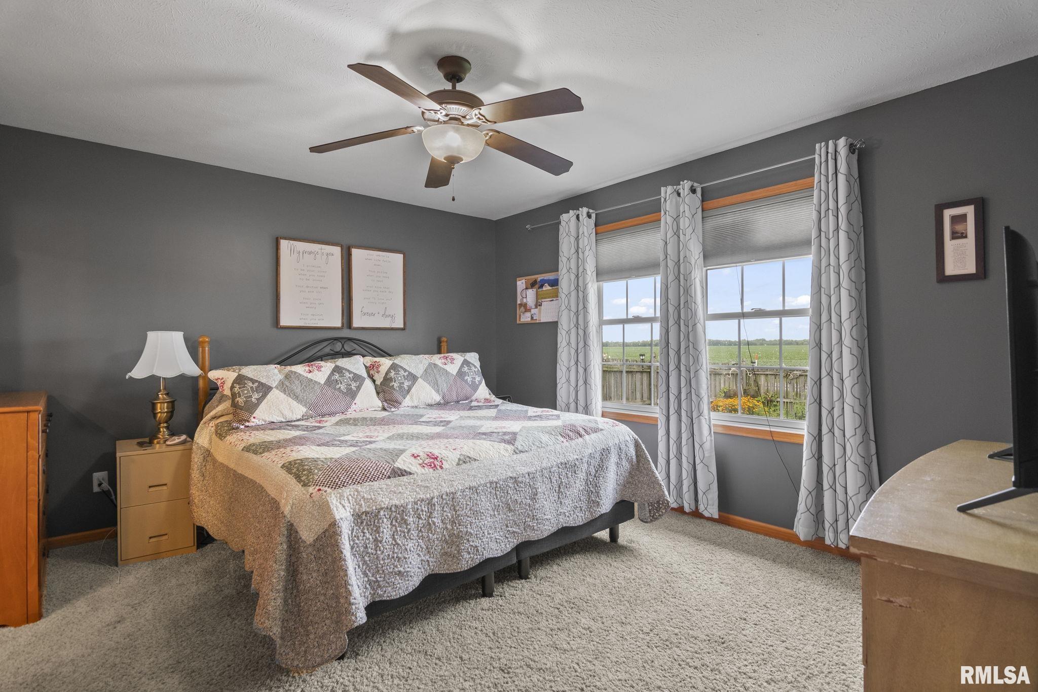 321 Butler Lane Chatham, IL 62629 - Photo 11 of 31 Gallery Image 11