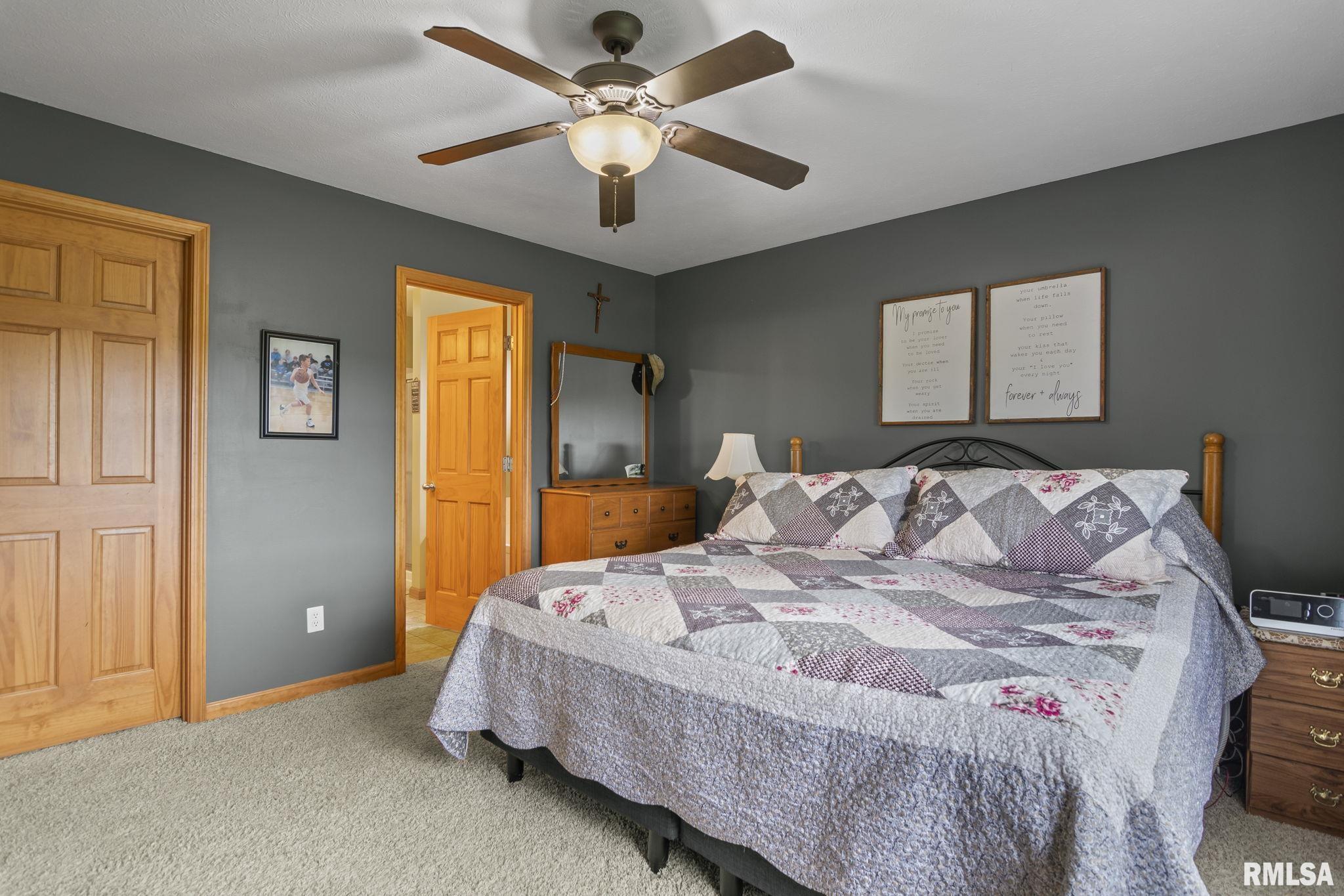 321 Butler Lane Chatham, IL 62629 - Photo 12 of 31 Gallery Image 12