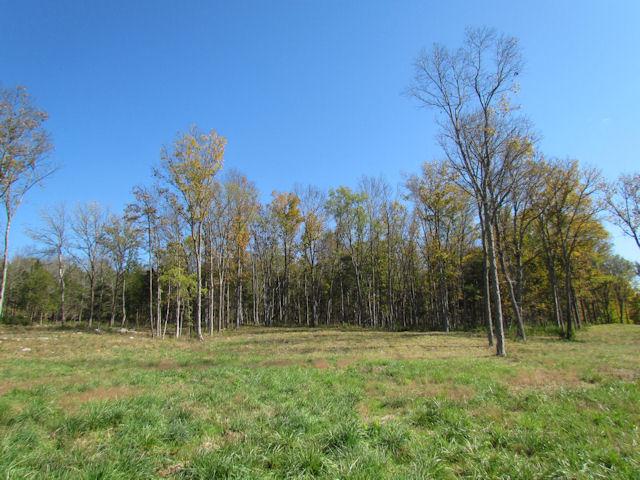 5 Cainsville Road Lebanon, TN 37090 - Photo 2 of 6