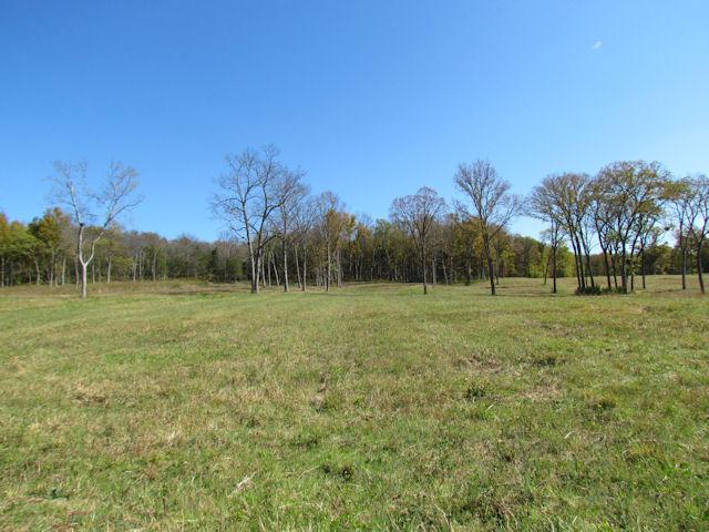 5 Cainsville Road Lebanon, TN 37090 - Photo 3 of 6