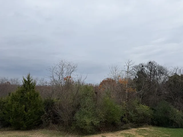 $439,999 | 3033 Bluffhollow Gap, Antioch, TN 37013