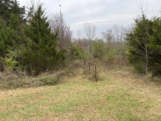 $439,999 | 3033 Bluffhollow Gap, Antioch, TN 37013