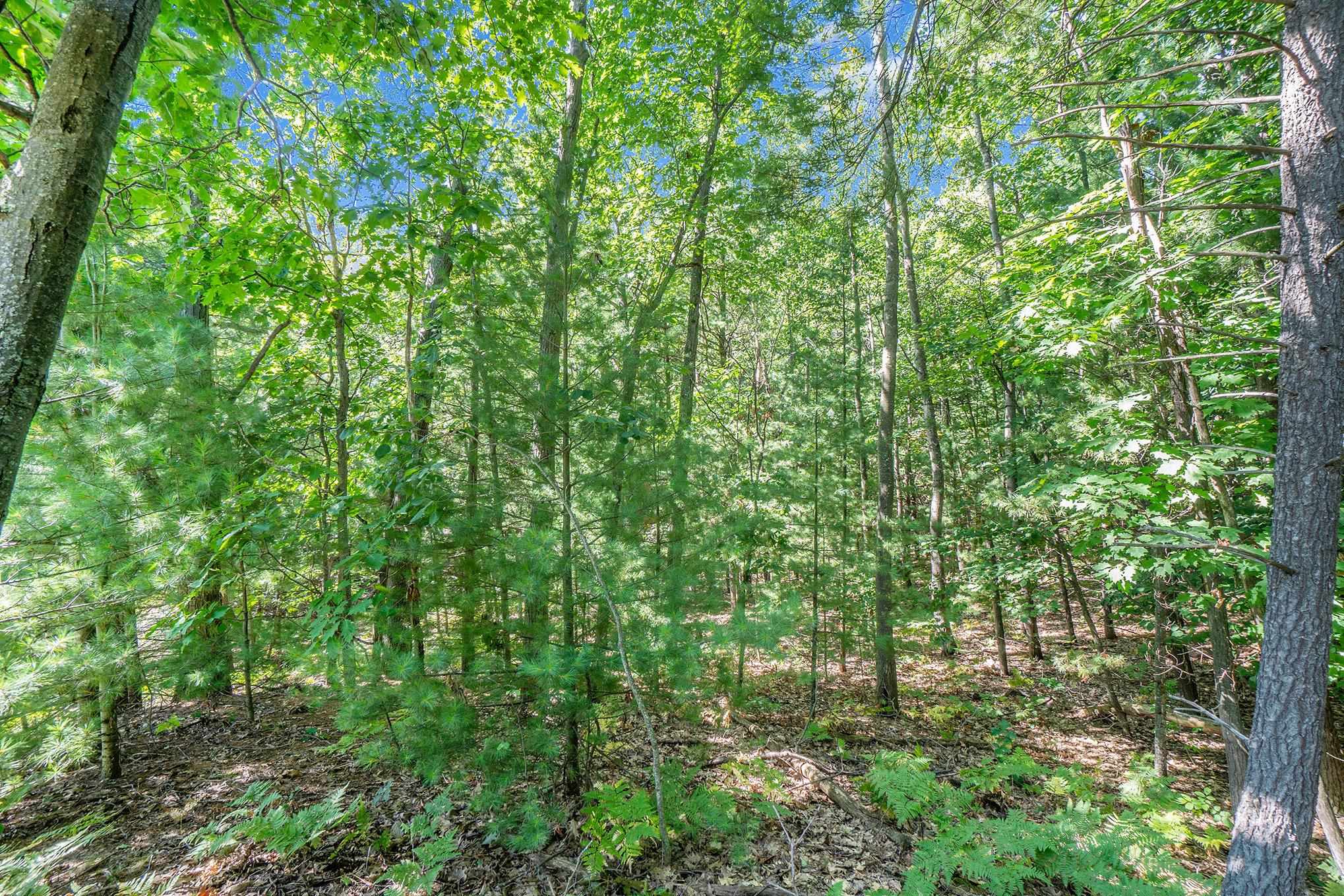 555 Hidden Ridge Drive Traverse City, MI 49686 - Photo 25 of 28