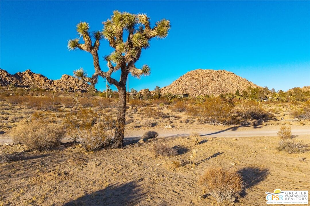 8393 Uphill Road Joshua Tree, CA 92252 - Photo 64 of 72