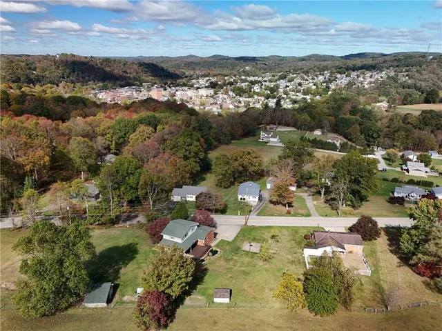 a view of a trees in a park