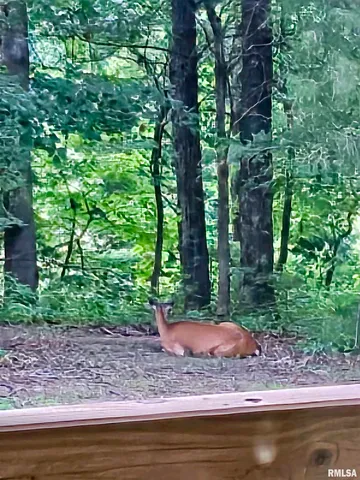 $600,000 | 5504 Marion Road, Metropolis, IL 62960