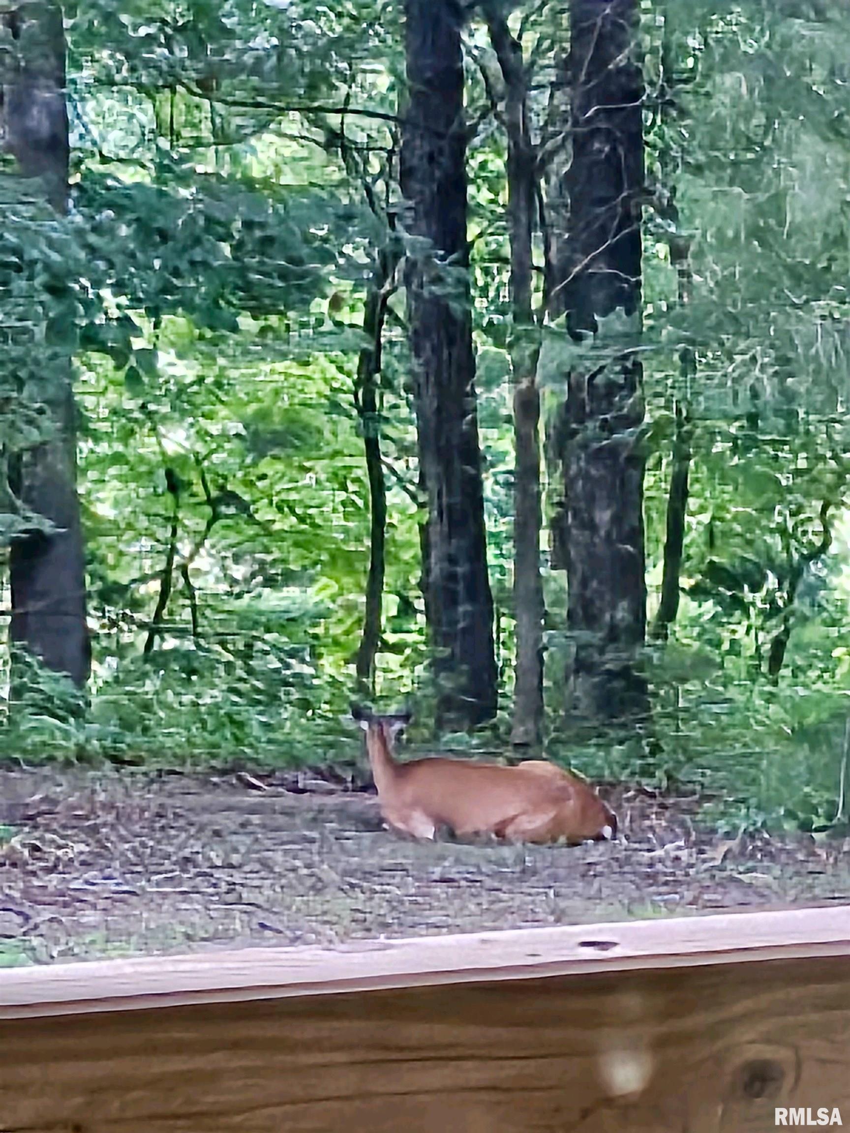 5504 Marion Road Metropolis, IL 62960 - Photo 11 of 45