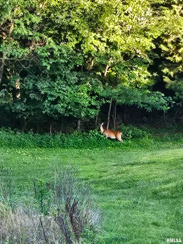 $600,000 | 5504 Marion Road, Metropolis, IL 62960