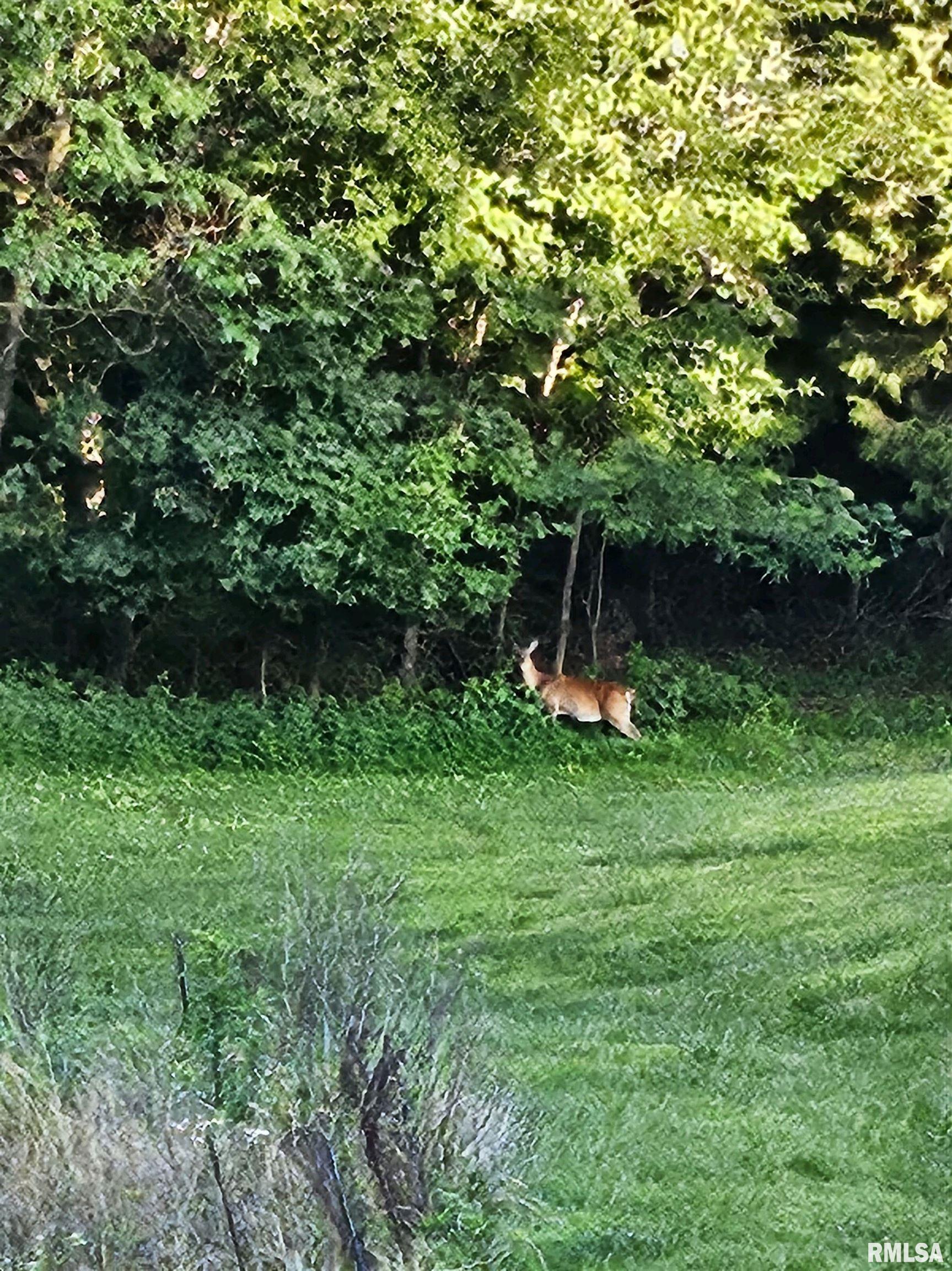 5504 Marion Road Metropolis, IL 62960 - Photo 12 of 45