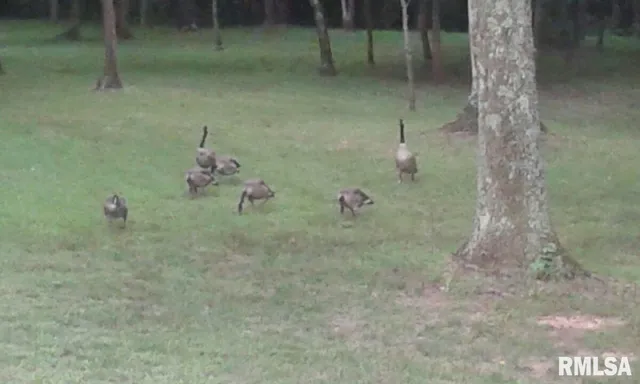 $600,000 | 5504 Marion Road, Metropolis, IL 62960