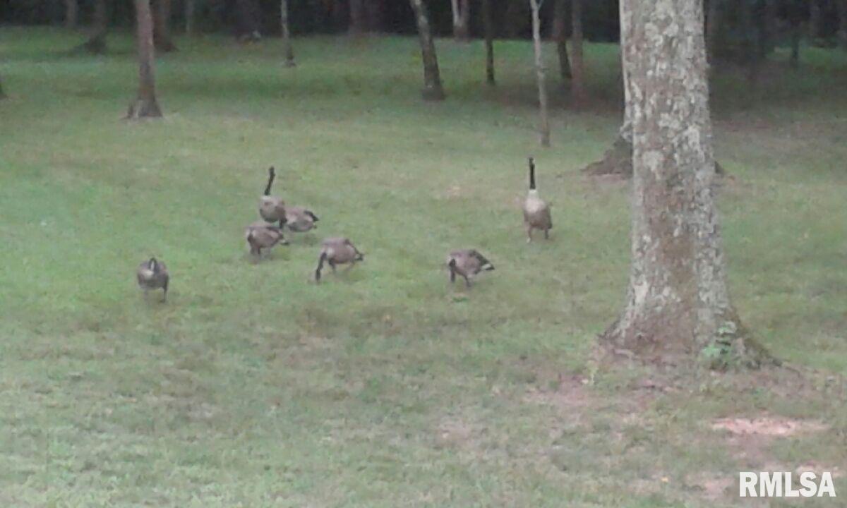 5504 Marion Road Metropolis, IL 62960 - Photo 15 of 45