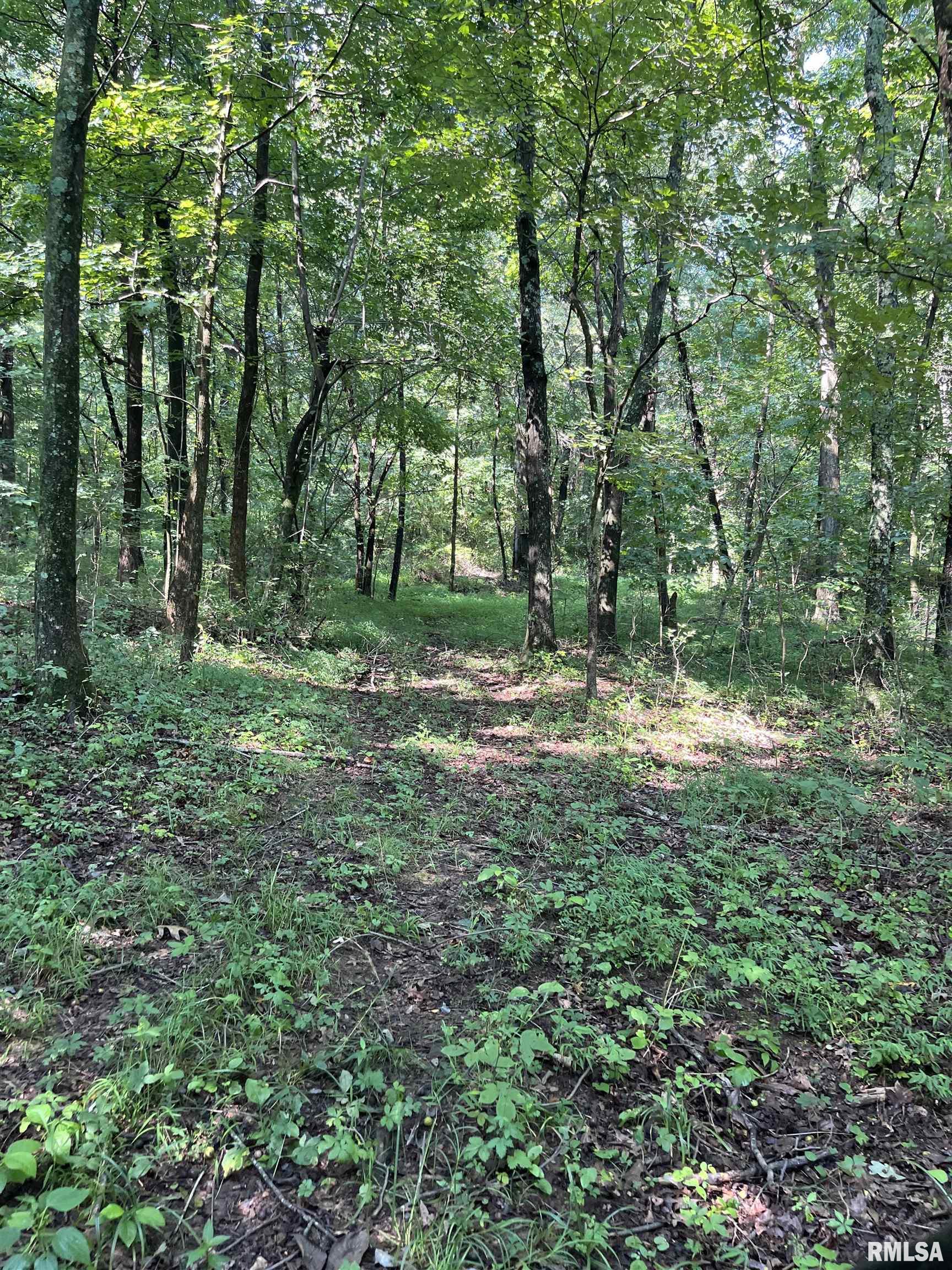 5504 Marion Road Metropolis, IL 62960 - Photo 17 of 45