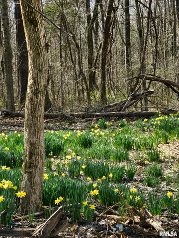 $600,000 | 5504 Marion Road, Metropolis, IL 62960