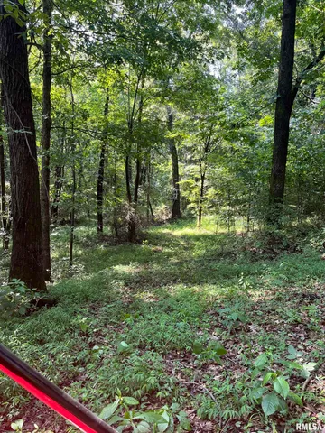 $600,000 | 5504 Marion Road, Metropolis, IL 62960