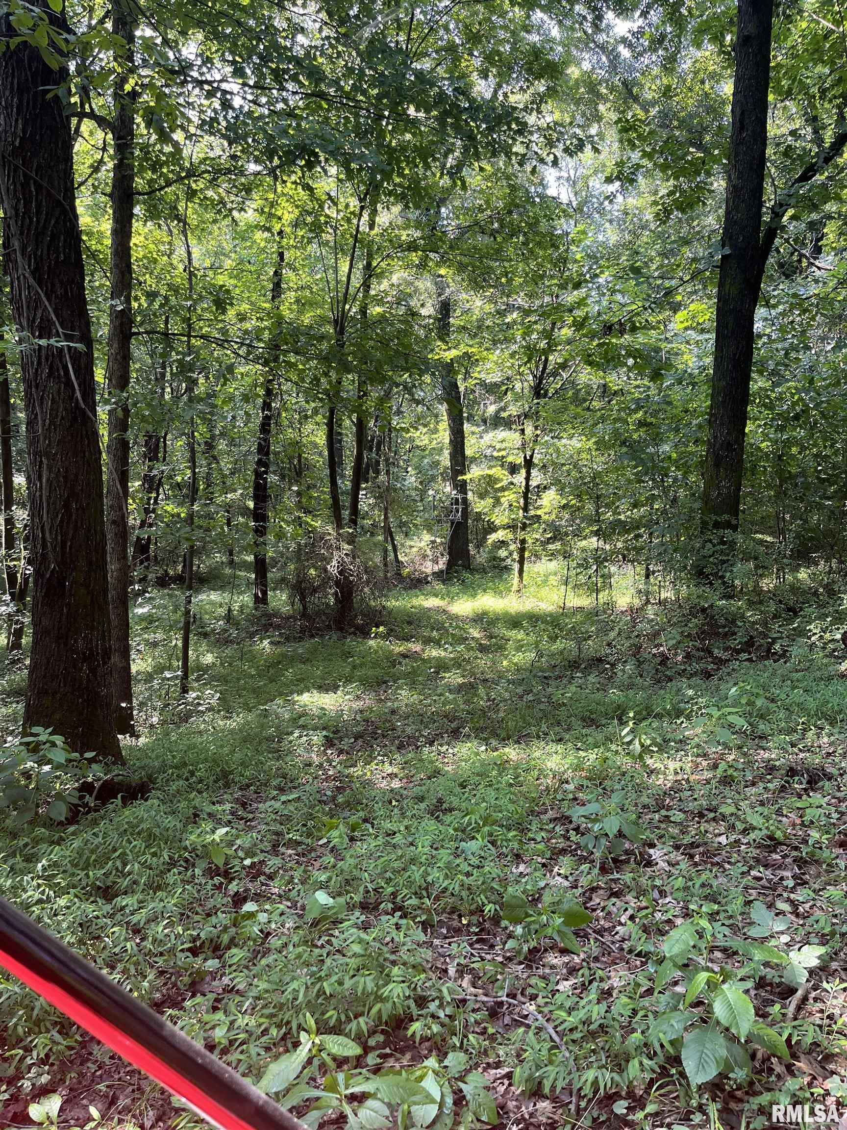 5504 Marion Road Metropolis, IL 62960 - Photo 21 of 45