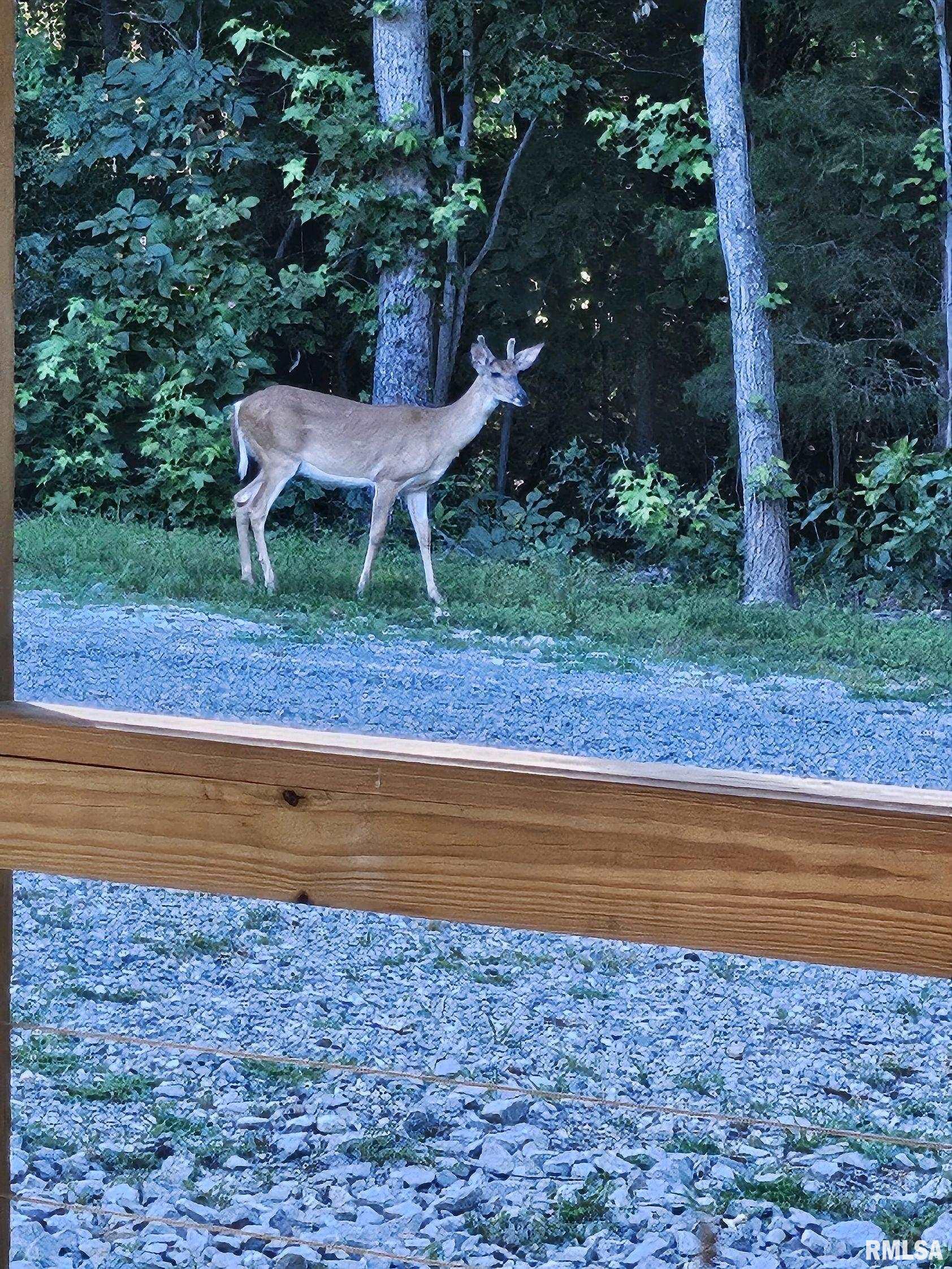 5504 Marion Road Metropolis, IL 62960 - Photo 28 of 45
