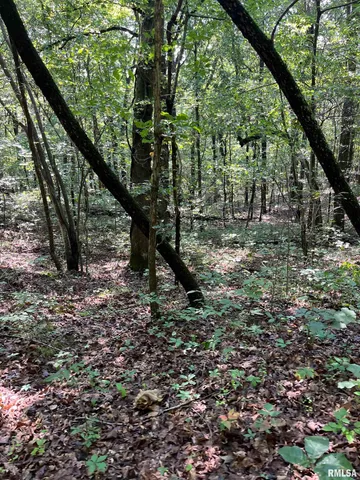 $600,000 | 5504 Marion Road, Metropolis, IL 62960