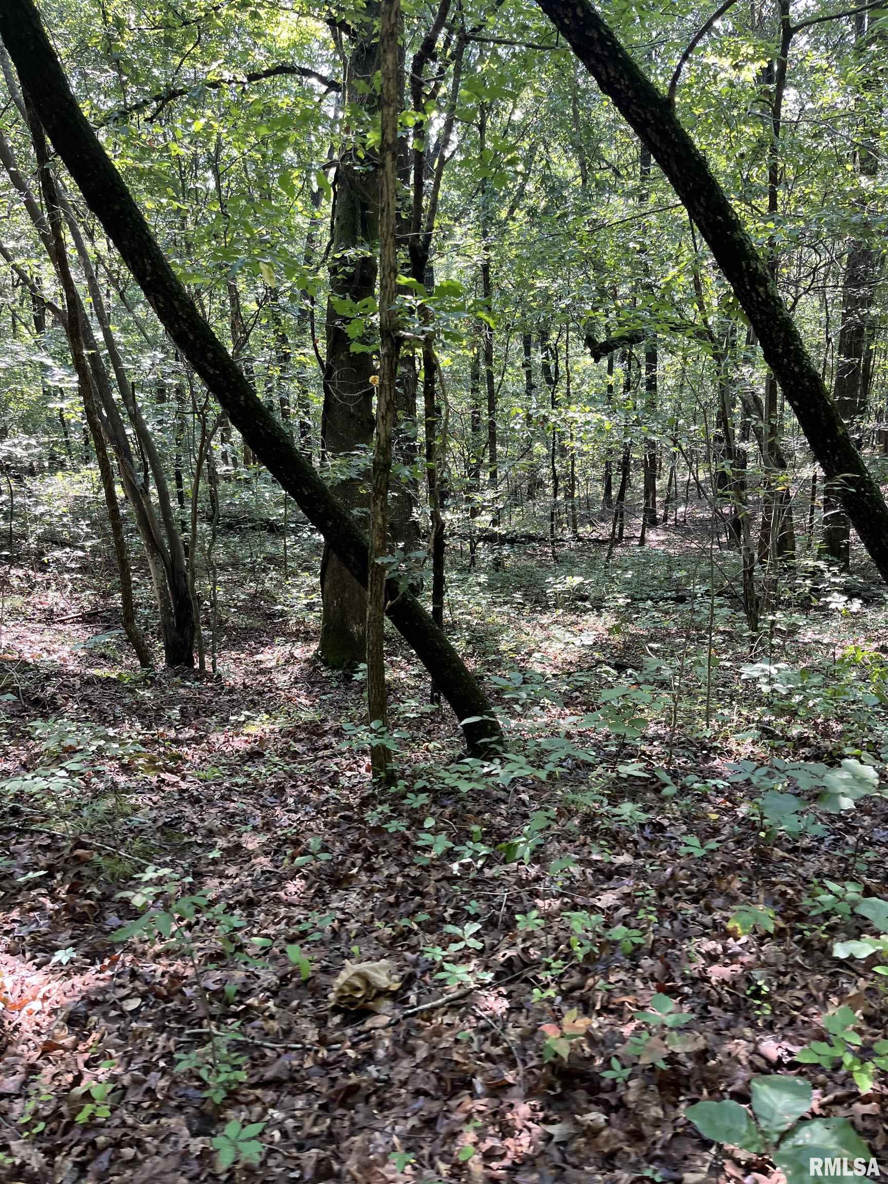 5504 Marion Road Metropolis, IL 62960 - Photo 29 of 45