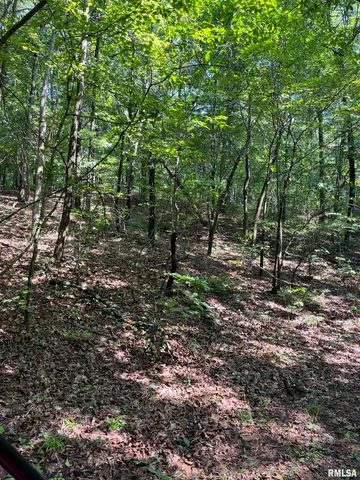 $600,000 | 5504 Marion Road, Metropolis, IL 62960