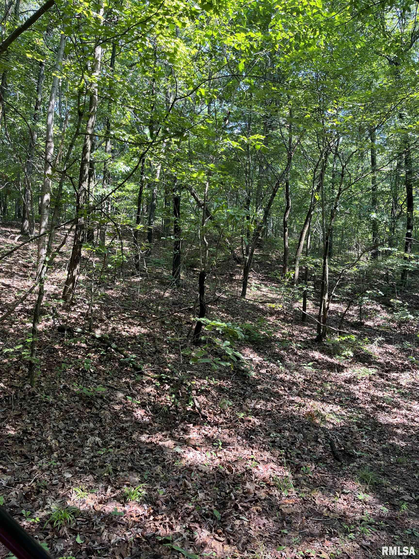 5504 Marion Road Metropolis, IL 62960 - Photo 3 of 45