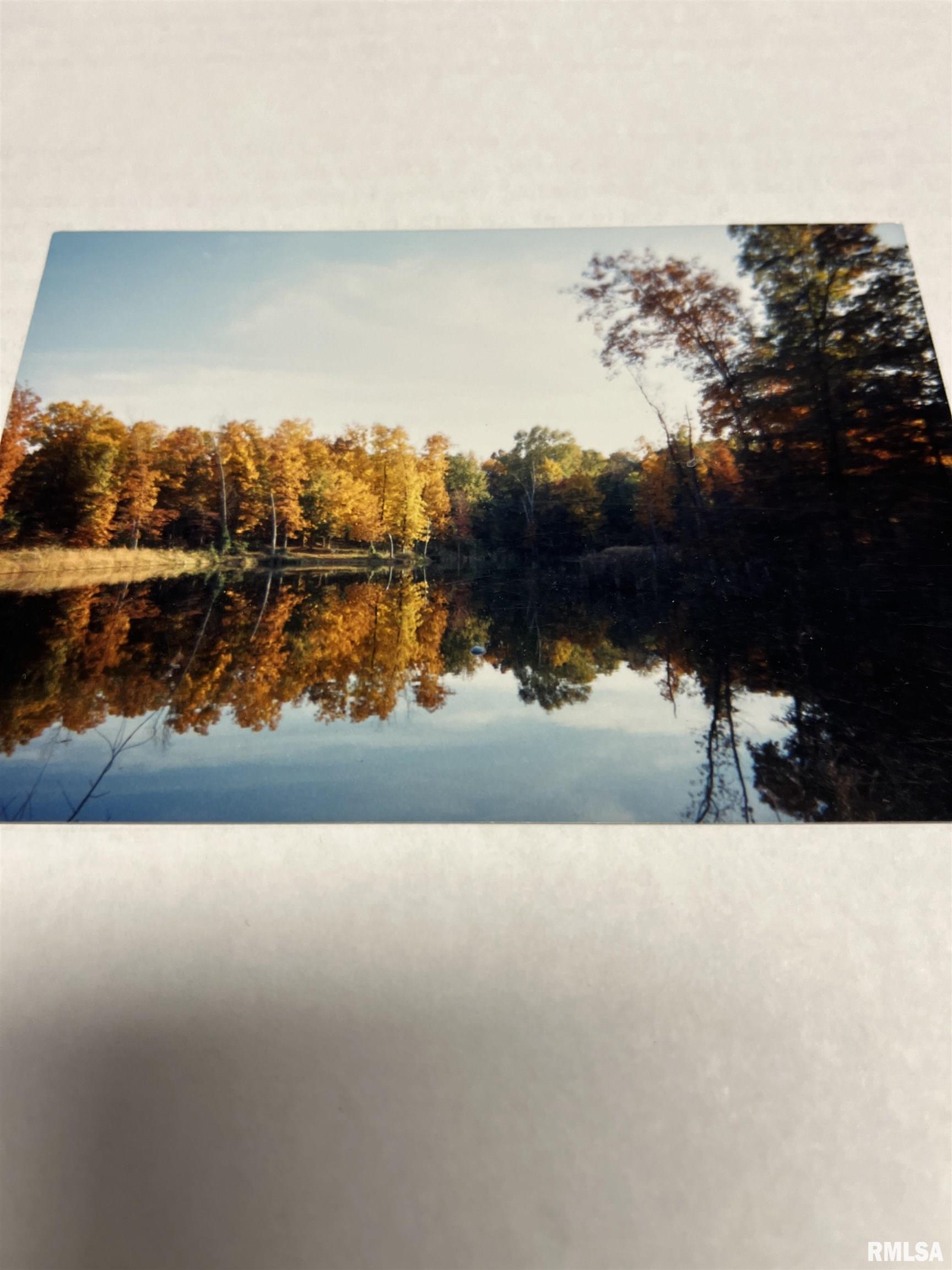 5504 Marion Road Metropolis, IL 62960 - Photo 31 of 45