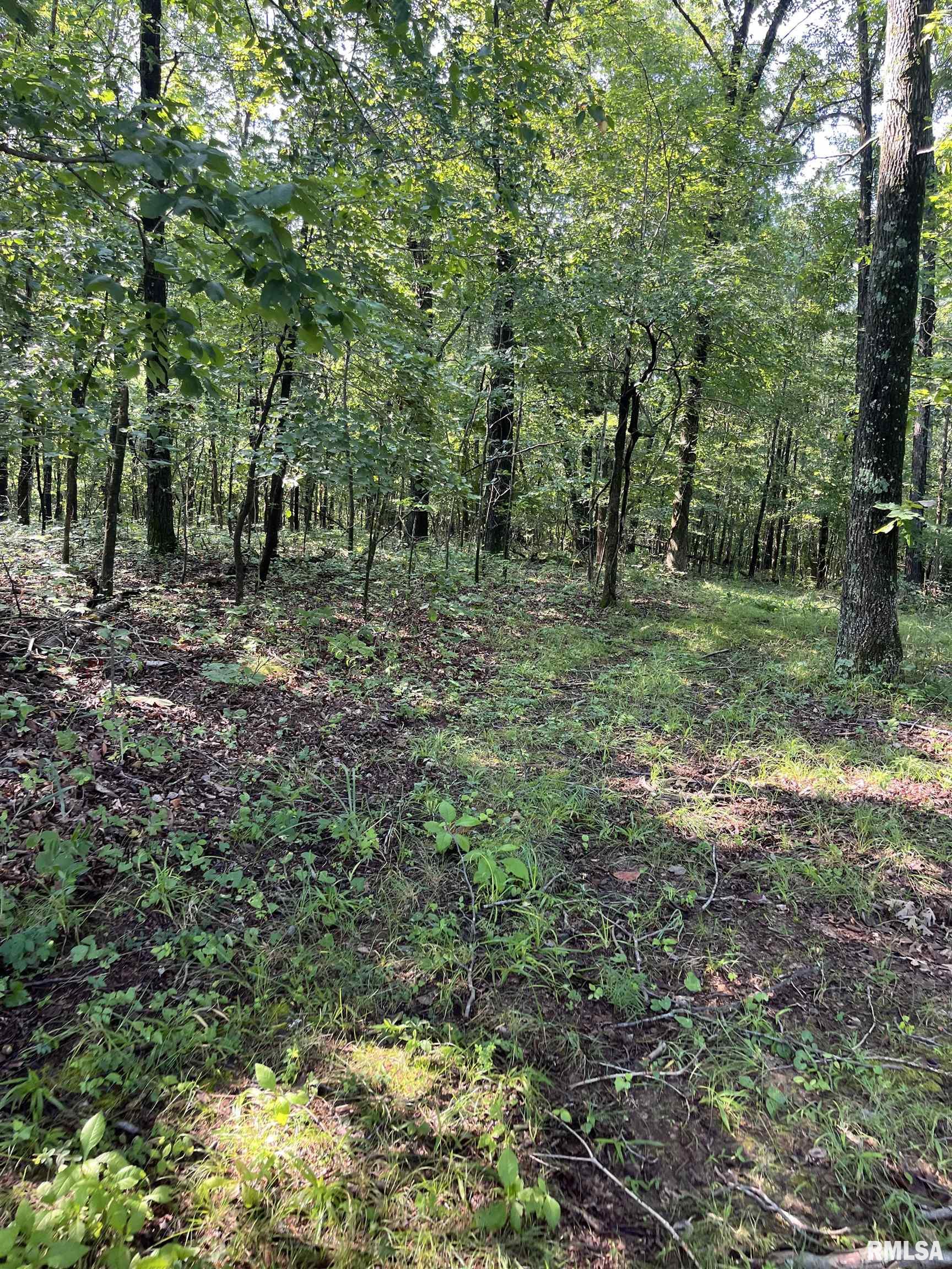 5504 Marion Road Metropolis, IL 62960 - Photo 35 of 45