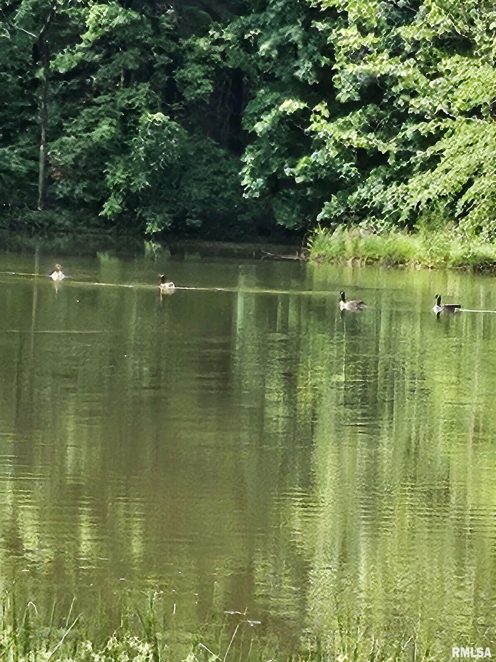 5504 Marion Road Metropolis, IL 62960 - Photo 38 of 45