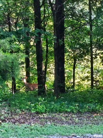 $600,000 | 5504 Marion Road, Metropolis, IL 62960