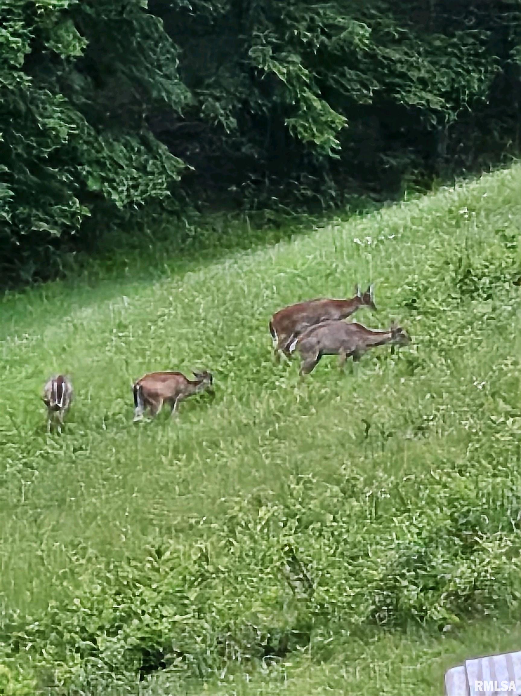 5504 Marion Road Metropolis, IL 62960 - Photo 42 of 45