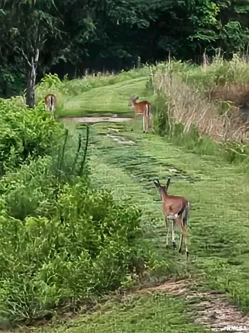 $600,000 | 5504 Marion Road, Metropolis, IL 62960