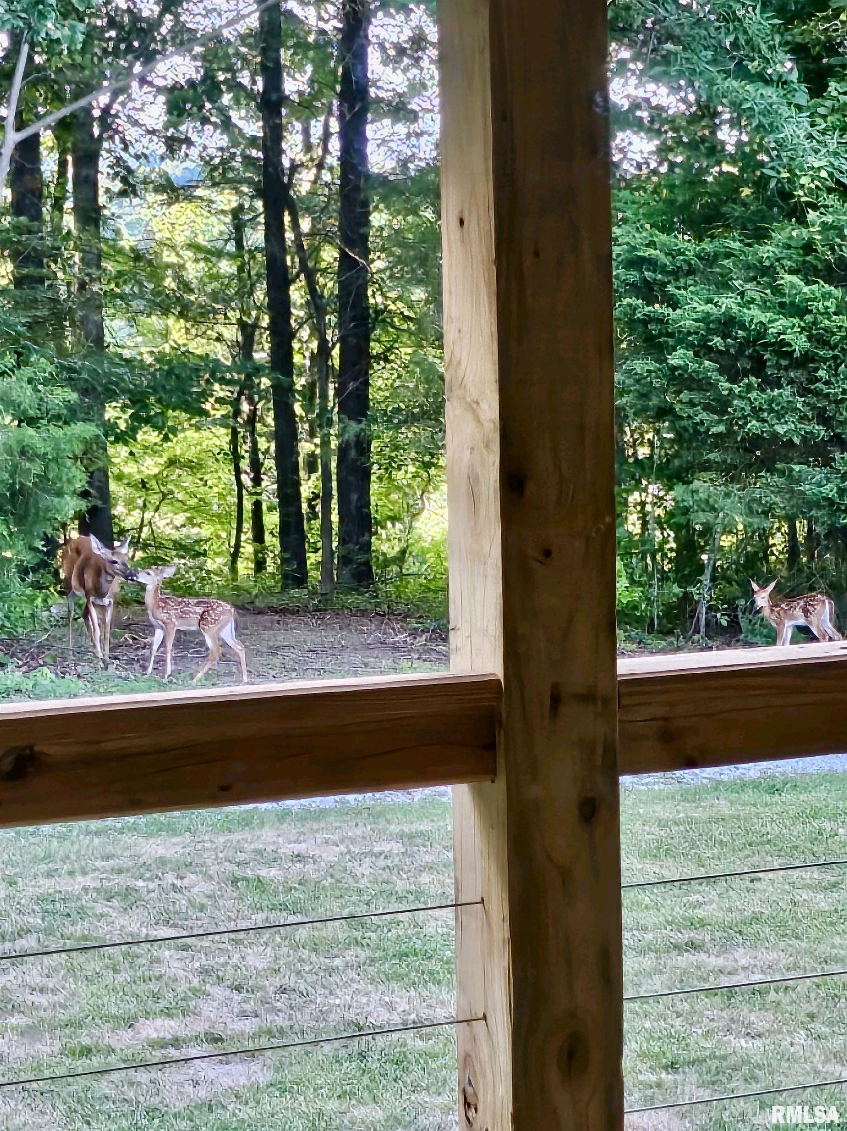 5504 Marion Road Metropolis, IL 62960 - Photo 8 of 45