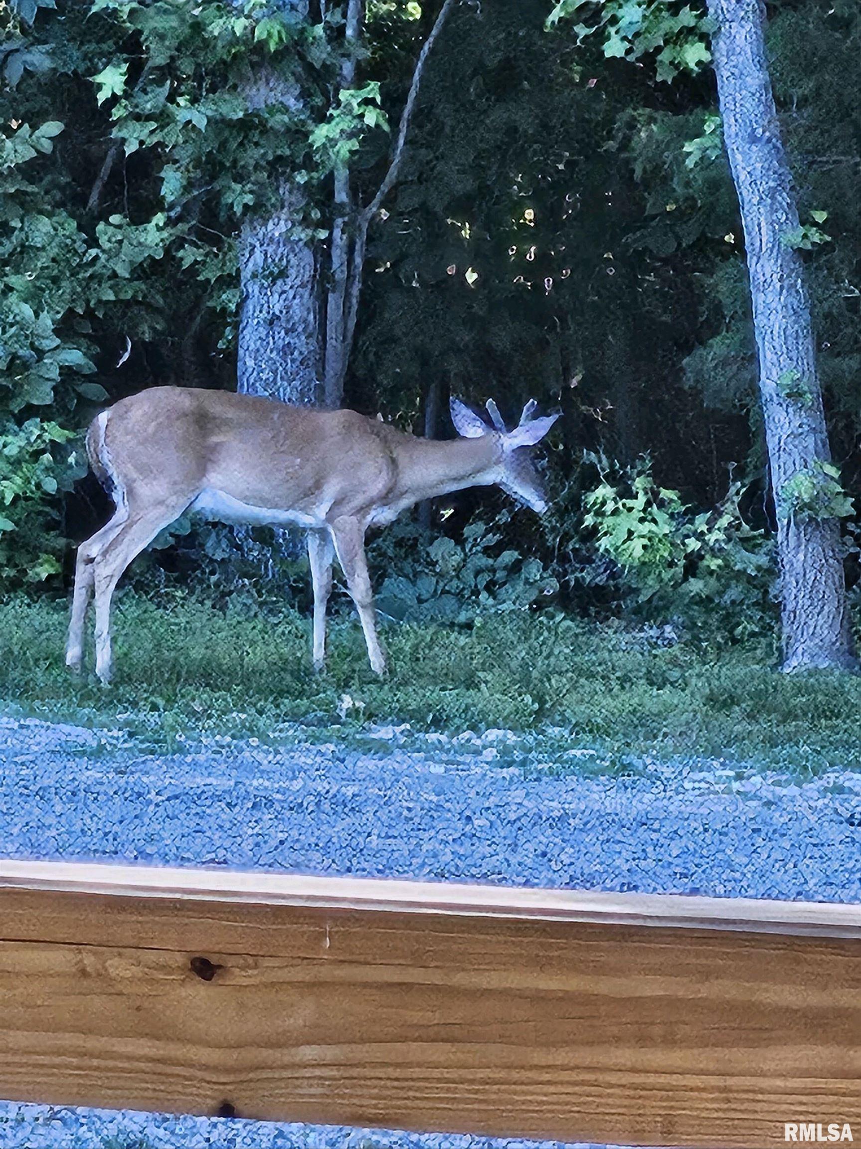 5504 Marion Road Metropolis, IL 62960 - Photo 9 of 45