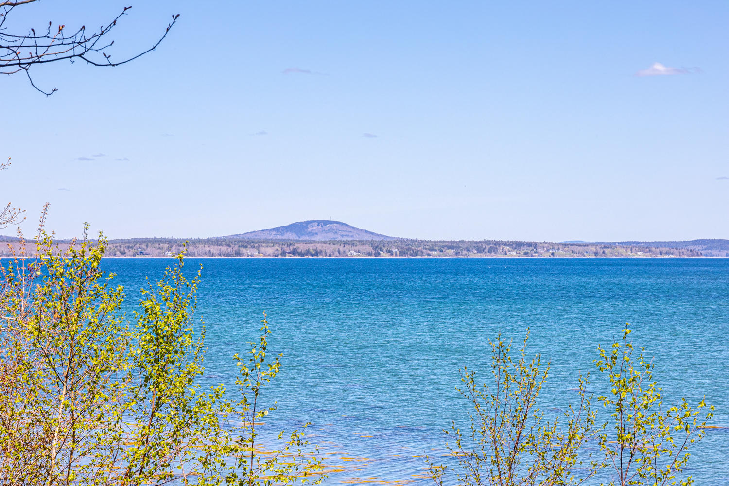 239 Harriman Point Road Brooklin, ME 04616 - Photo 53 of 62 Blue Hill Mountain